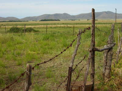 Provincia de Buenos Aires, pampa