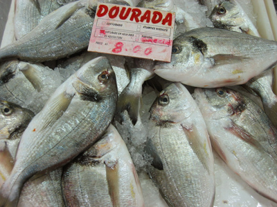 Portugal, Évora, mercado velho, dourada, fish, peixe