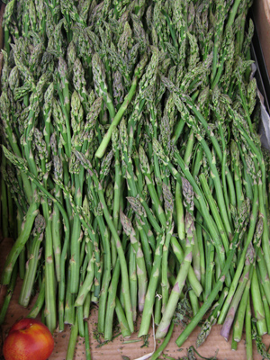 Spain, España, San Sebastián, Donostia, esparragos, asparagus