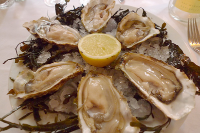France, Euskal Herria, Kaiku, St. Jean-de-Luz, oysters on the half shell