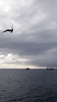 Argentina, Chubut, Puerto Madryn