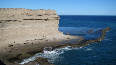 Argentina, Península Valdés, Puerto Pirámide, sea lions