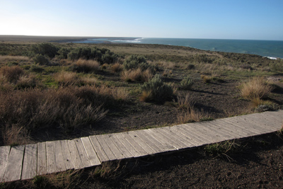 Argentina, Península Valdés, Punta Cantor