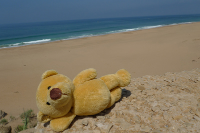 Ursula, Morocco, beach