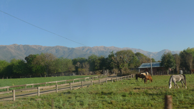 Argentina, Salta, Campo Quijano