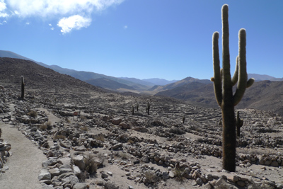 Argentina, Salta, San Antonio de los Cobres