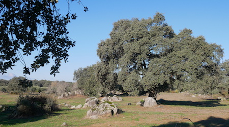 Spain, España, Andalucía, El Pedroso, hiking, trail, oak, encina