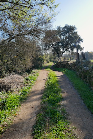 Spain, España, Andalucía, El Pedroso, hiking, trail